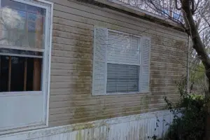 mobile home softwashing
