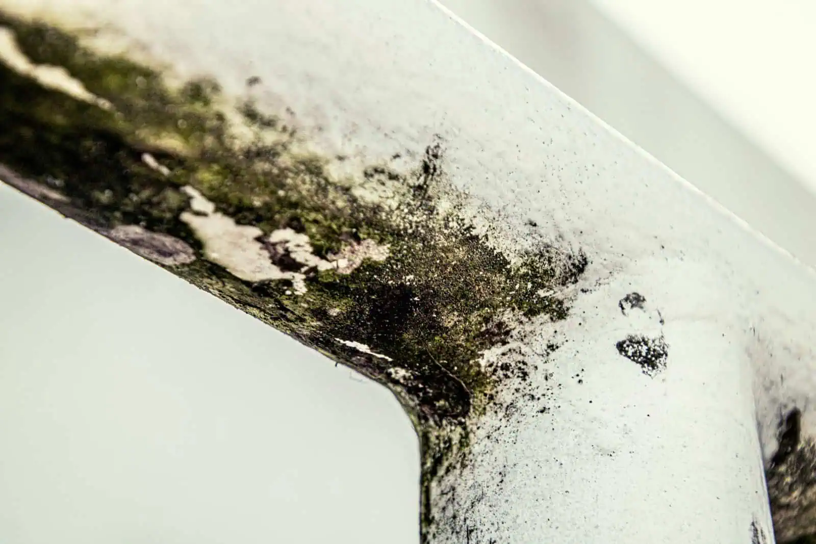 Mold on wall
